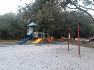 clement taylor park playground